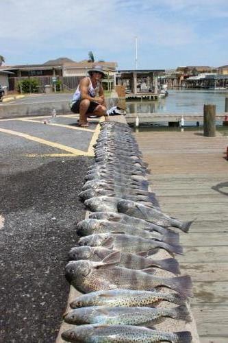 Fishing Guide South Padre Island 2.0