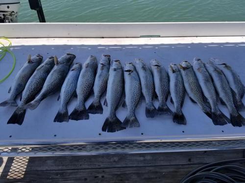 Fishing Charter South Padre Island Guides 1